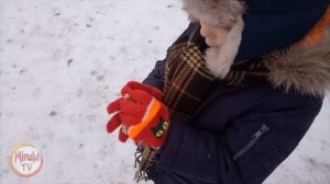 MinukiTV уточки. 4000 уток на пруду зимой. Федя кормит уток.