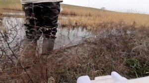 как то туманым утром. активный клев щуки.