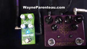 Wampler Belle VS Analogman King Of Tone & Fender Tone Master Twin Reverb