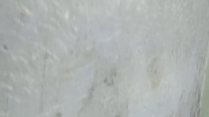 Легко снять масляную краску с побелкой.