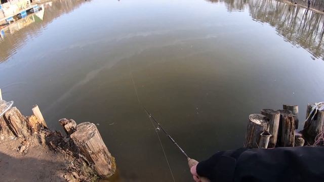 МИСАЙЛОВО TROUT. Форель для новичка