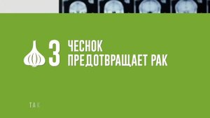 ЧЕСНОК . ИНТЕРЕСНЫЕ ФАКТЫ