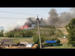 В селе Митряево Азнакаевского района горит сухая трава