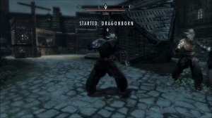 Skyrim-Activating Dragon Born DLC-PC