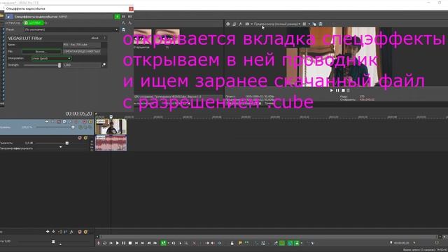 Цветокоррекция В Magix Sony Vegas Pro за 5 Минут LUT Filter смотреть онлайн