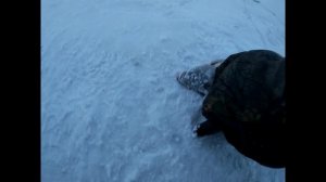 Рыбалка на теплом канале ловля карася и подлещика!!!!)