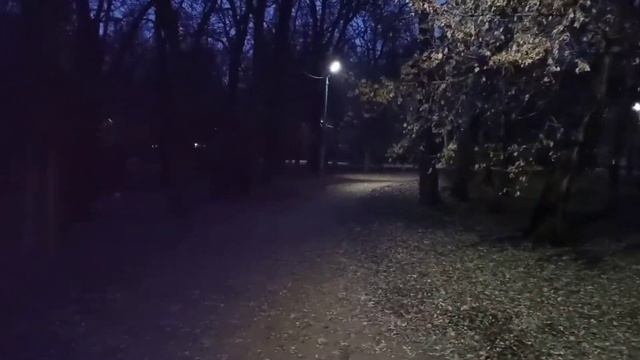 Вечерний парк им.Горького .Таганрог смотреть онлайн