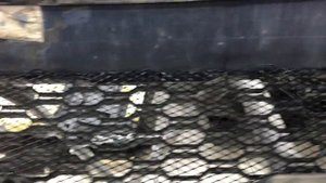 BMW X7 защита радиатора от повреждения и загрязнения. Установка сетки в решётку радиатора, в бампер