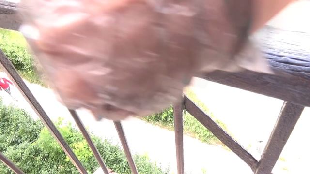 ПРЕОБРАЖЕНИЕ ОТКРЫТОГО БАЛКОНА в сталинке БЮДЖЕТНАЯ КРАСОТА как быстро покрасить перила ЭКСПРЕСС