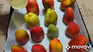 Фаршированный перец запеченный в духовке/Stuffed peppers baked in the oven ???