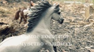 Не знаю, кто автор этих слов, но он...просто гений/ Лошади шляйх