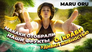 НАПАДЕНИЕ МАКАК ??
Остров Краби нас удивил живностью