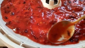 Пастила из слив и яблок в сушилке Ezidri
