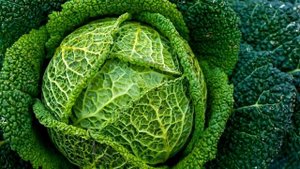 ЛУЧШЕЕ УДОБРЕНИЕ ОТ КОТОРОГО УРОЖАЯ НАВАЛОМ ДАЖЕ В ПЛОХОЙ ПОЧВЕ