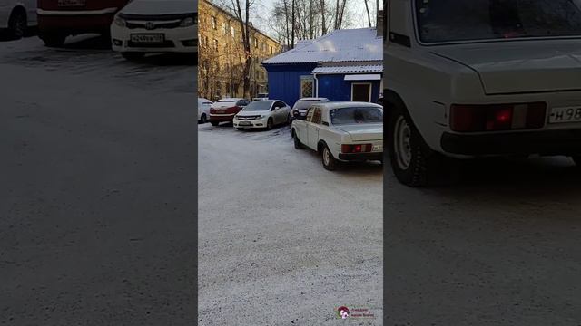 Вакцинируем Басмача. смотреть онлайн