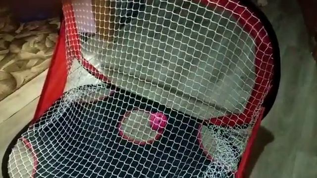 Хоккей прикол смотреть онлайн