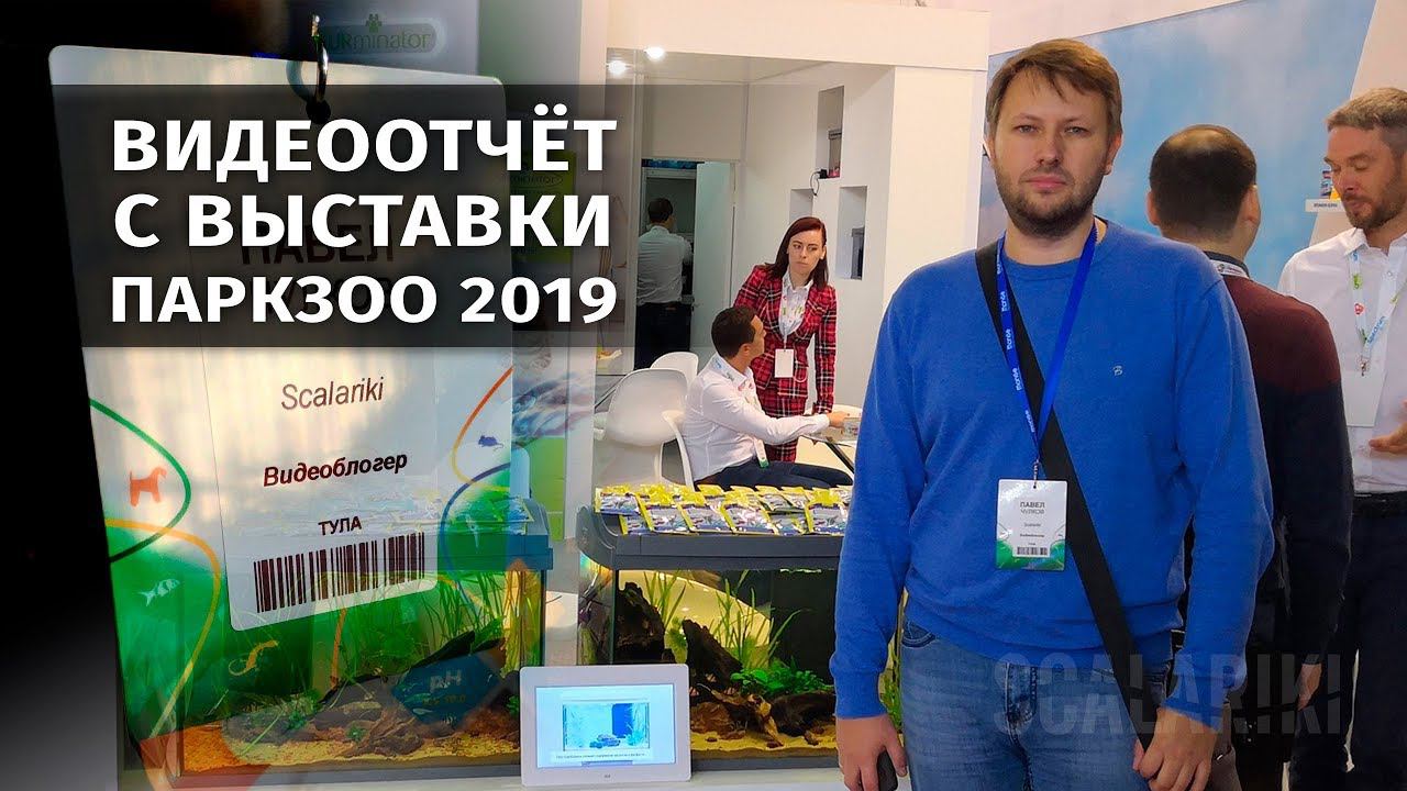 Мой видеоотчёт с выставки ПаркЗоо 2019