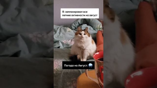 Погода в августе...