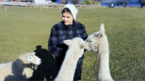 Princess Chelsea - Everything Is Going To Be Alright