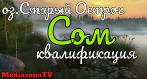 Русская Рыбалка 4 Где Клюет оз.Старый Острог Сом квалификация 18.01.23