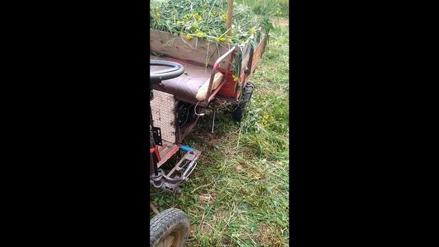 Квадромуравей смотреть онлайн