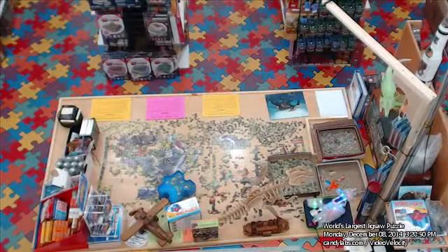 Day 191 December 9, 2014 - "Wildlife" 33600 pc World's Largest Jigsaw Puzzle смотреть онлайн