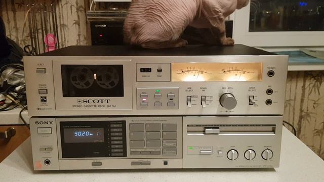 SCOTT 665 DM 220 вольт смотреть онлайн