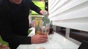 Танцующий говорящий кактус повторюшка игрушка ОБЗОР!  Ребенок в восторге.