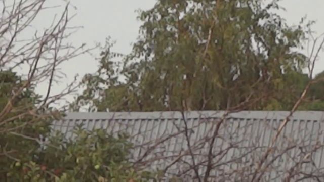 ДЕЛЬТАПЛАН с мотором над с Винновка смотреть онлайн