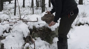 Building a Winter Bushcraft Shelter - Lean-to Survival Shelter in Snow