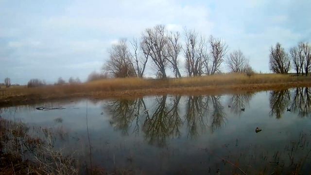 Два лайфхака для охоты смотреть онлайн