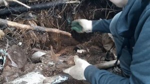 КОП МЕТАЛЛА,МЕДИ ,ЛАТУНИ НА СВАЛКЕ .НАШЁЛ БОЛЬШЁЙ С МЕДЬЮ ТРАНСФОРМАТОР )))