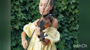 Senorita violin cover Shawn Mendes, Camila Cabello