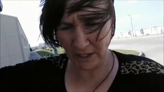 Все собаки превосходно себя чувствуют смотреть онлайн