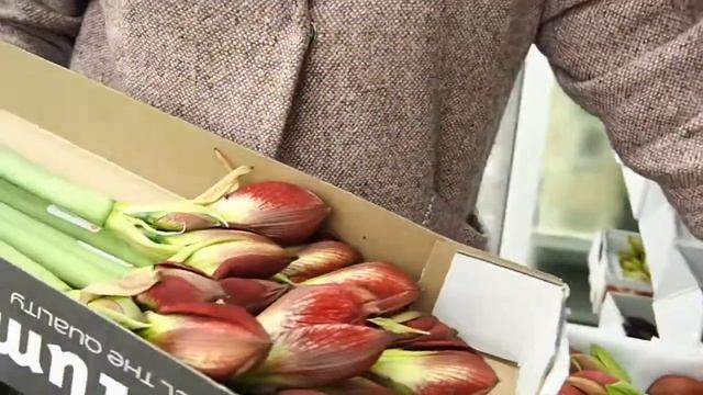 Оптовая цветочная база в Москве. Закупка цветов для цветочного магазина