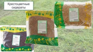 Сидераты для огурцов