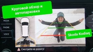 Круговой обзор и автопарковка Skoda Kodiaq: баловство?