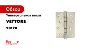 Петли дверные VETTORE 125х75х2-5 4ВВ SN.mp4
