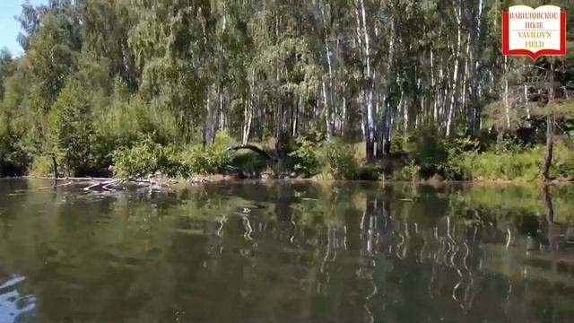 Вендров Андрей Владимирович «ДОСТОЯНИЕ ГУБЕРНИИ» 1 часть.