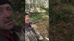 Бортевой мёд в Бурзянском районе Республики Башкортостан