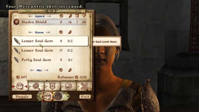 The Elder Scrolls IV: Oblivion - Playthrough, Main Quest *No commentary* [Part 10: Aid for Bruma] смотреть онлайн