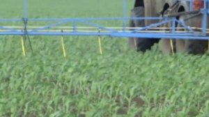 Внесение СЗР. Опрыскиватель на базе ЗИЛ-131. Бак 5000 л