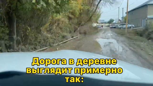 ВЛОГ ИЗ ДЕРЕВНИ?МЕНЯ УЖАЛИЛА ОСА? смотреть онлайн