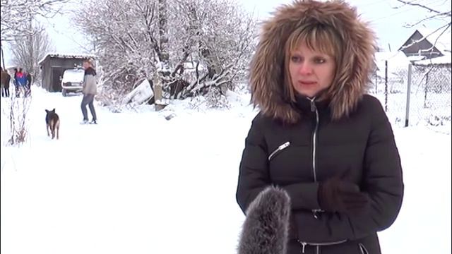 Волчий произвол в Виданах смотреть онлайн