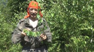 КАК ВЯЗАТЬ БЕРЕЗОВЫЙ ВЕНИК ДЛЯ БАНИ, или "С ЛЕГКИМ ПАРОМ!!!"
