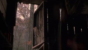 Cabin Fever (2002) - Movie Review