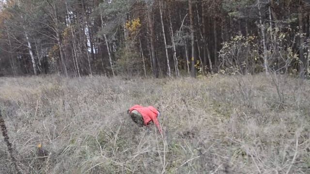 Рельсовые Магнаты!!! Узкая Колея Кишит Металлом!!!Копали Рельсы до Самой Ночи!!!!! смотреть онлайн