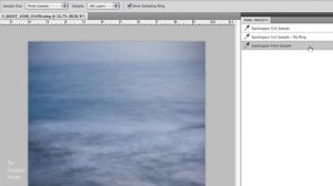 Create and Save Your Own Tool Presets in Photoshop