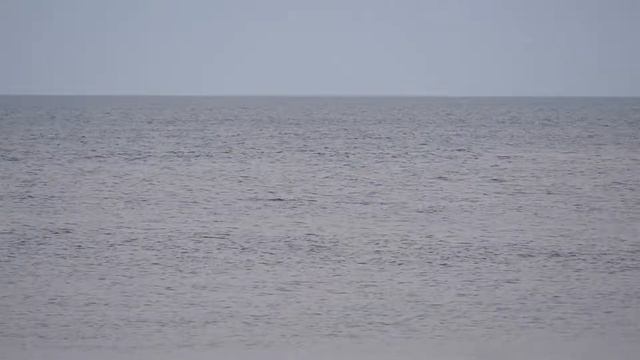 1607 Виктор Как спят белухи Sequence 06 смотреть онлайн