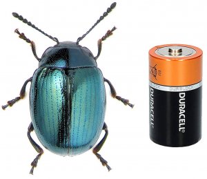 Стихи - ремейк на песню группы "Жуки" "Батарейка". Poem remake of the Our love has been de-energized